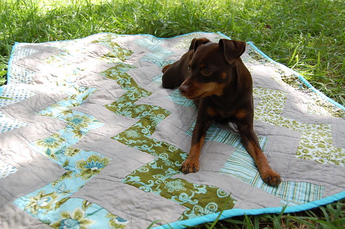 Moose on the Zigzag Quilt