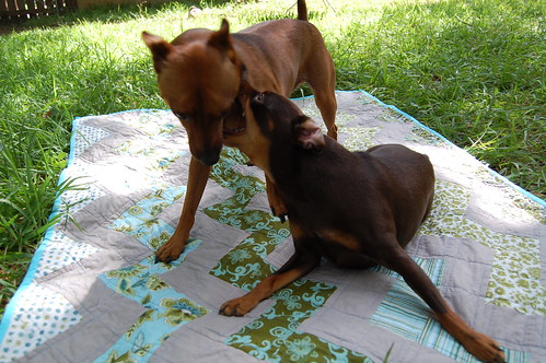 Min Pins on Zigzag Quilt