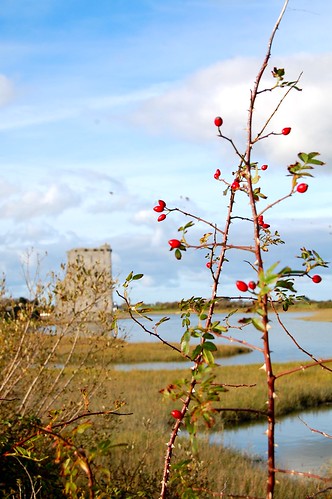 carrigafoyle castle